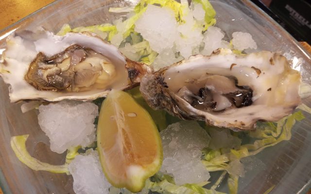 lapicaetademanolo08