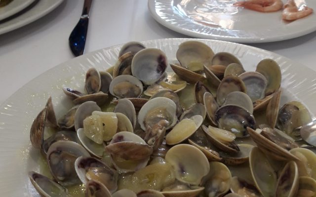 lapicaetademanolo10